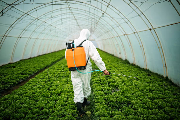 Best Affordable Pest Control Services  in East Grand Forks, MN