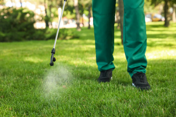 Best Best Pest Control Companies  in East Grand Forks, MN