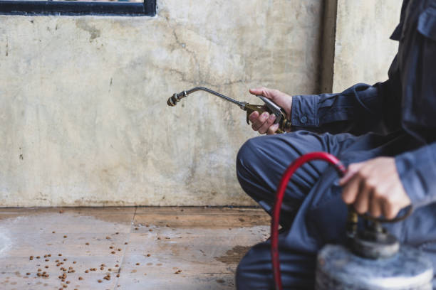 Best Local Pest Control Services  in East Grand Forks, MN